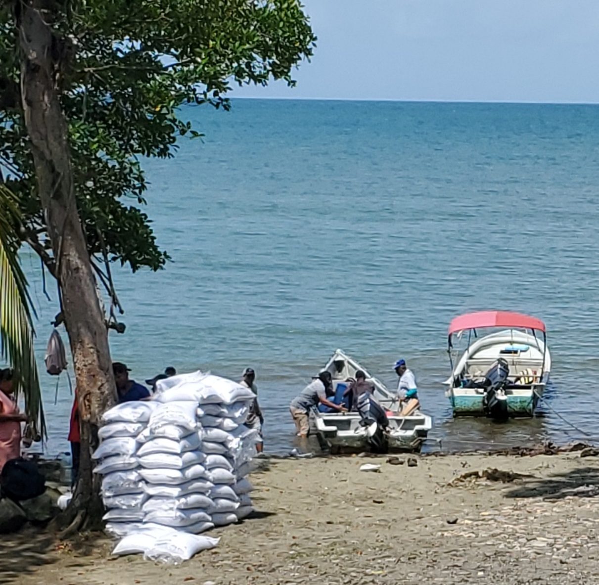 Sacs de café sur une plage du Panama